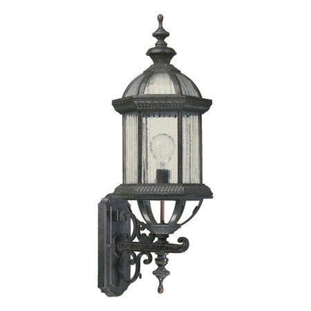 Quorum One Light Rustic Silver Wall Lantern 7812-45